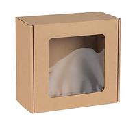 Boîte carrée avec fenêtre, boîte cadeau 20x20x10 cm
