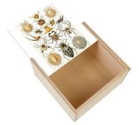 Boite Coffret en Bois - Fabulous - Araigne Insecte Gravure Ancienne (11 x 11 x 3,5 cm) Multicolore G