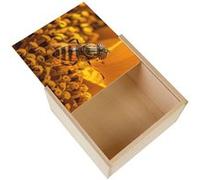 Boite Coffret en Bois - Fabulous - Insecte Volant Butine Polen (11 x 11 x 3,5 cm) Multicolore G