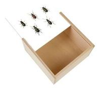 Boite Coffret en Bois - Fabulous - Insectes Minimaliste (11 x 11 x 3,5 cm) Multicolore G