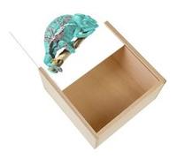 Boite Coffret en Bois - Fabulous - Sakura Chameleon (11 x 11 x 3,5 cm) Multicolore G