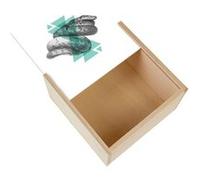 Boite Coffret en Bois - Fabulous - Serpent Géométrie (11 x 11 x 3,5 cm) Multicolore G