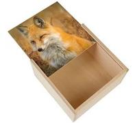 Boite Coffret en Bois - Fabulous - Superbe Renard Champs de Ble (11 x 11 x 3,5 cm) Multicolore G