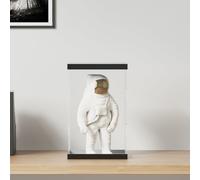 vidaXL Vitrine en acrylique, boîte d'affichage transparente 22x18x35 cm pour collections