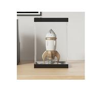 vidaXL Boîte d'Affichage Transparente, Vitrine en Acrylique, Boîte de Présentation, Boîte de Rangement pour Collections Jouets Bijoux, 17x12x25 cm Acrylique