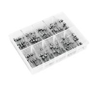 Boîte de 100 fusibles 5 x 20 mm