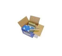 Boîte de 3000 clous à tête ronde, filetés extra galvanisés en bande plastique 22° D. 3,1 x 90 mm - Tacwise - 0436