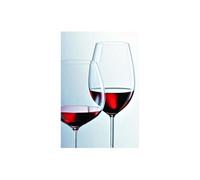 schott zwiesel boîte de 6 verres a bordeaux ivento - 63