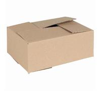Boîte de rangement pliable en carton - vidaXL - Naturel - 25x17,5x10 cm - 5,13 kg - Lot de 50 - Écologique