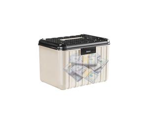 Boîte de rangement verrouillable-organisateur combiné à 4 chiffres, conteneur d'engrenage de chasse, organisateur de bacs de stockage sécurisé avec bloc combiné à 4 chiffres pour les documents pour