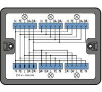 Boîte de répartition série (connecteur réseau) 899 WAGO 899-631/313-000 25 A noir 1 pc(s)