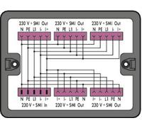 Boîte de répartition série (connecteur réseau) 899 WAGO 899-631/421-000 20 A noir 1 pc(s)