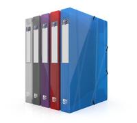 Boite Oxford Hawai 24X32 D40 PP Assorti