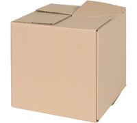 Boîte Pliable 50 pcs Naturel 20 x 20 x 20 cm Carton