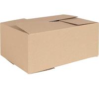 Boîte Pliable 50 pcs Naturel 35 x 24 x 15 cm Carton