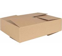 Boîte Pliable 50 pcs Naturel 40 x 30 x 10 cm Carton