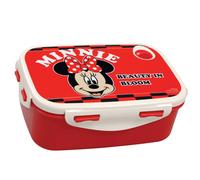 Boîte Repas Enfant En Pvc Minnie Mouse ? Beauty In Bloom 17 Cm Minnie Mouse Blanc / Noir / Blanc TU