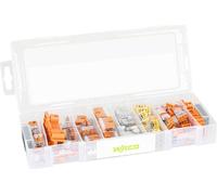 Boite WAGO L-Boxx micro avec bornes séries 2273 & 221 - 887-802
