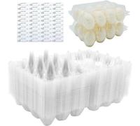 Boîtes à œufs en plastique PET - Transparentes - 40 pièces - Écologiques