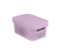 Curver 229156 Infinity points Boîte de rangement avec couvercle 4,5 l en plastique 26,8 x 18.6 x 12,4 cm Rose