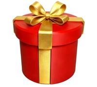 Boîtes cadeaux amusantes - Jouet de décoration compact et inoubliable | Boîte cadeau pour enfants, bureau, anniversaire, mariage, Noël, vacances, intérieur et extérieur