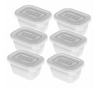 Rotho Set de 6 boîtes de congélation de 0,25 l avec couvercle, plastique (PP) sans BPA, transparent, 6 x 0,25 l (11,2 x 7,8 x 5,9 cm)