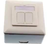 Boîtier de prise murale Cat. 6A en saillie ou encastré 2x RJ45 femelle RAL9010 blanc vertical