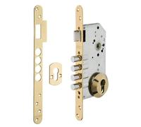 THIRARD - Boîtier de Serrure Encastrable à Cylindre pour Porte d'Entrée - Axe 60 mm - 4 Pênes - Bouts Ronds - Laiton - Têtière Acier - Gâche Plate - Carré 8 mm - Jaune/Doré