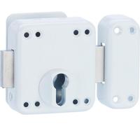 Boitier de verrou double entrée Rafale pour porte d'entrée à cylindre, acier, epoxy blanc - THIRARD
