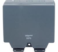 Boîtier d'interrupteur étanche IP66 13 A 250 V, double interrupteur, gris