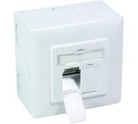 Boîtier encastrable, boîtier réseau, CAT6, universel, LAN, boîtier combiné, boîtier réseau Gigabit, couleur RAL9003, blanc