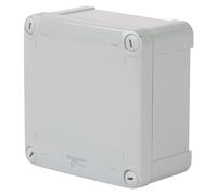 Boîtier extérieur résistant aux intempéries IP66 Schneider Electric 116 x 62 x 116mm