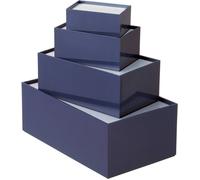Boîtier universel TEKO P/3.10 plastique gris, bleu 161 x 96 x 61 x 160 1 pc(s)