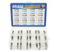 BOJACK 12 Valeurs 60 Pièces Kit d'assortiment de fusibles en verre à fusion lente 6x30 mm 250V T 0.5A 1A 2A 3A 4A 5A 6A 7A 8A 10A 15A 20A packag dans une boîte en plastique transparent