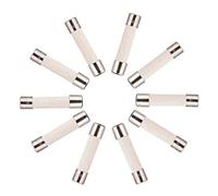 BOJACK T10A250V 6x30 mm 10 A 250 V Fusibles en céramique à fusion lente 10 amp 250 Volt 0,24 x 1,18 pouces Fusible à retard de tube en céramique(paquet de 20 pièces)