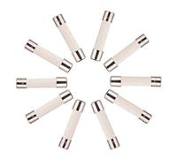 BOJACK T20A250V 6x30 mm 20 A 250 V Fusibles en céramique à fusion lente 20 amp 250 Volt 0,24 x 1,18 pouces Fusible à retard de tube en céramique(paquet de 20 pièces)
