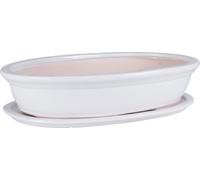Bol à bonsaï en céramique avec soucoupe 50 cm Pot ovale blanc pour bonsaïs