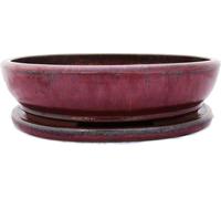 bol bonsaï avec soucoupe taille 6 - rouge - ovale - modèle o3 - l 36cm - b 28cm - h 10cm