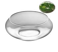 Bol,Grande Décoration d'Intérieur en Verre Transparent - Coupe À Fleurs De 24,9 Cm pour Culture dans l'eau,pour Cactus Poisson Extérieur Jardin Patio Fontaine Balcon