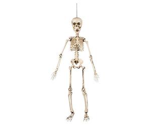 Boland - 72037 Squelette décoratif Blanc 50 cm