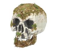 Boland - 73099 - Crâne Swamp, Décoration pour Halloween et Carnaval, Tête de Mort, Squelette