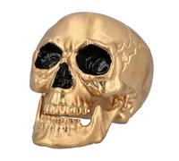 Boland - Tête de mort Maxilla avec dentition mobile, crâne décoratif pour fête de l'horreur, Halloween ou Carnaval, Or