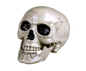 Boland - Tête de mort Maxilla avec dentition mobile, crâne décoratif pour fête de l'horreur, Halloween ou Carnaval