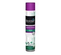 BOLDAIR - Désodorisant Grands Espaces Thé Vert - Neutralise les Mauvaises Odeurs - Pulvérisation Sèche Haute Puissance - Made in France - 750 ml