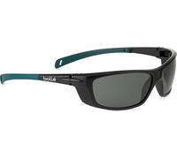 Bollé Safety BAXTER Polarized Bügelbrille BAXPOLWFS