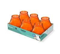 Bolsius - Bougies D'extérieur - 6 Pièces - En Verre - Orange - Durée de Combustion 70 Heures - Sans Huile de Palme - Combustion Propre - Mèche en Coton