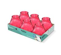 Bolsius - Bougies D'extérieur - 6 Pièces - En Verre - Rose - Durée de Combustion 70 Heures - Sans Huile de Palme - Combustion Propre - Mèche en Coton