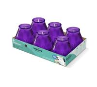 Bolsius - Bougies D'extérieur - 6 Pièces - En Verre - Violet - Durée de Combustion 70 Heures - Sans Huile de Palme - Combustion Propre - Mèche en Coton