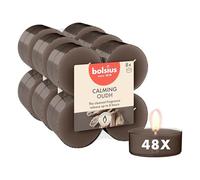 Bolsius - Maxi bougies chauffe-plat parfumées - Oud Wood - Marron - Lot de 48 - Extraits naturels - Contient de la cire végétalienne - Sans huile de palme