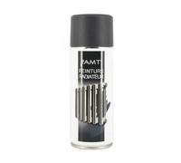 AMT Bombe de peinture Ardoise gris mat pour radiateur 330 ml